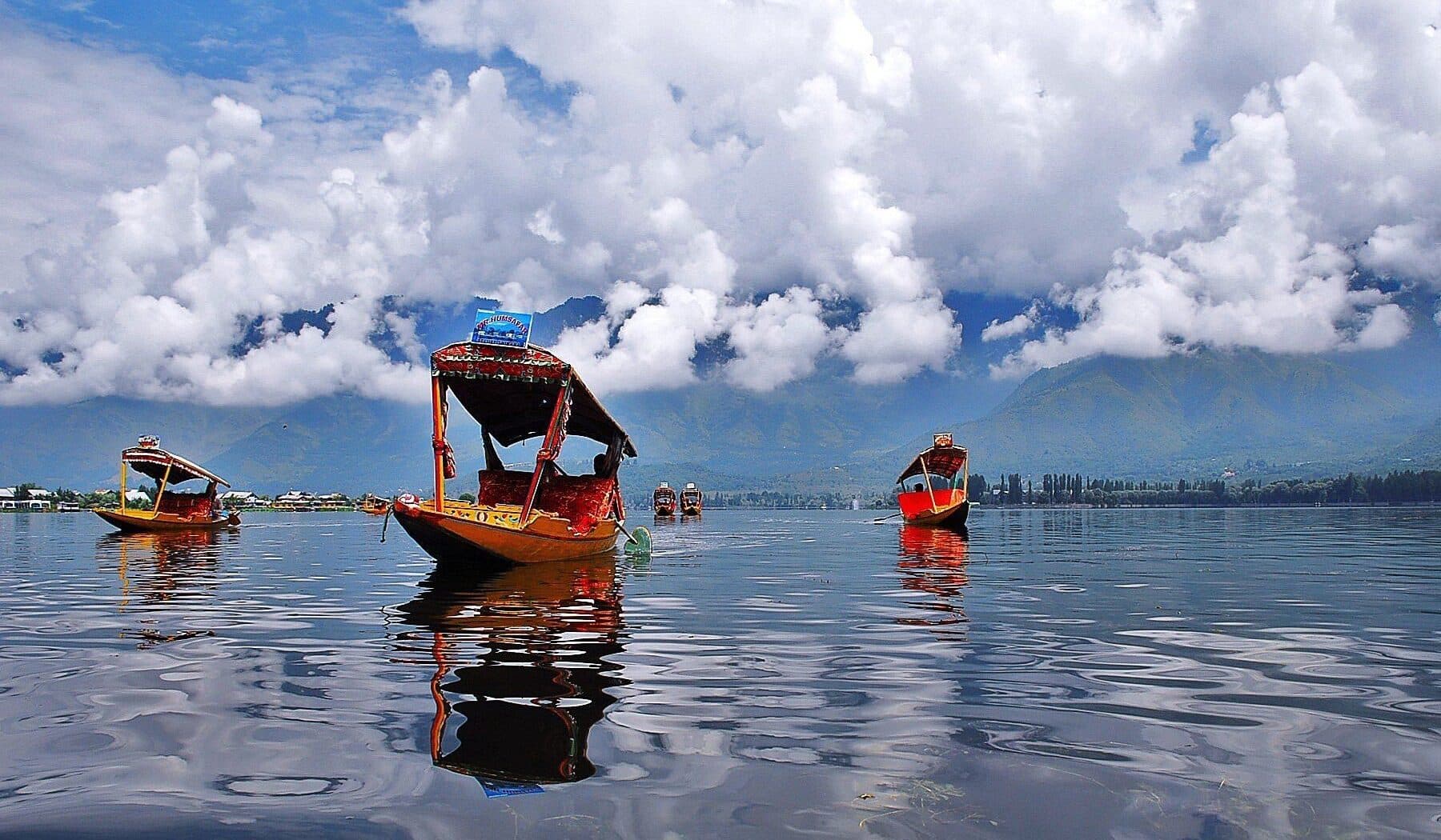 Dal Lake in April: Why Spring Is Kashmir's Best-Kept Secret